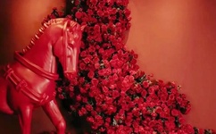 农村妇女卓玲给我喂奶